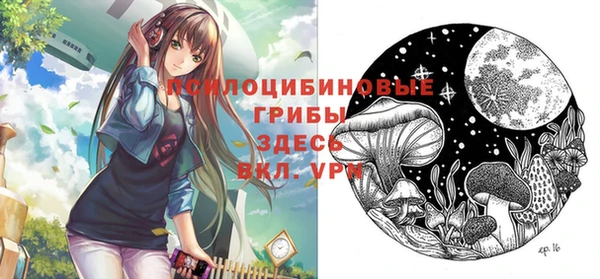 прущие крисы Богданович