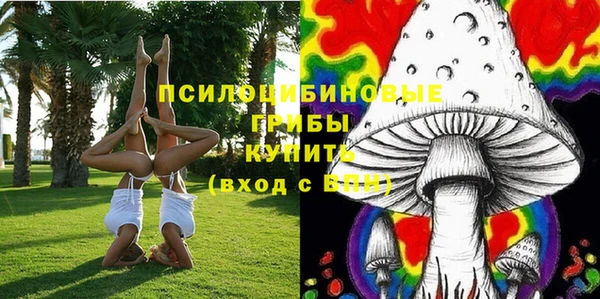 стафф Богородицк